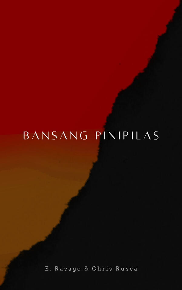 ISBN: 9798233822216